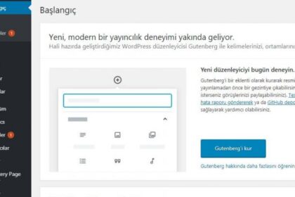 Web Sitesi Nasıl Düzenlenir